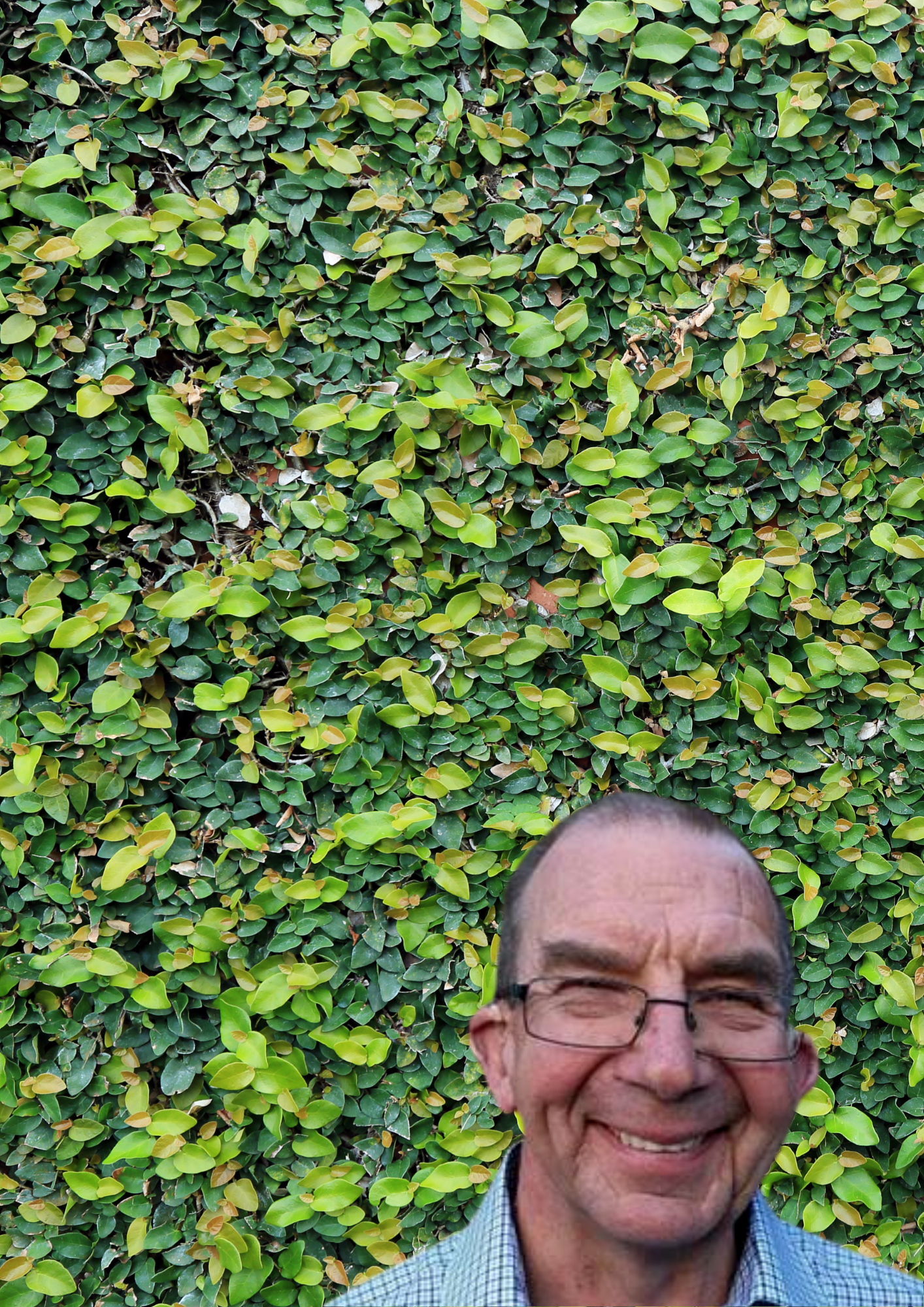 David Kent smiles in front of a leafy wall