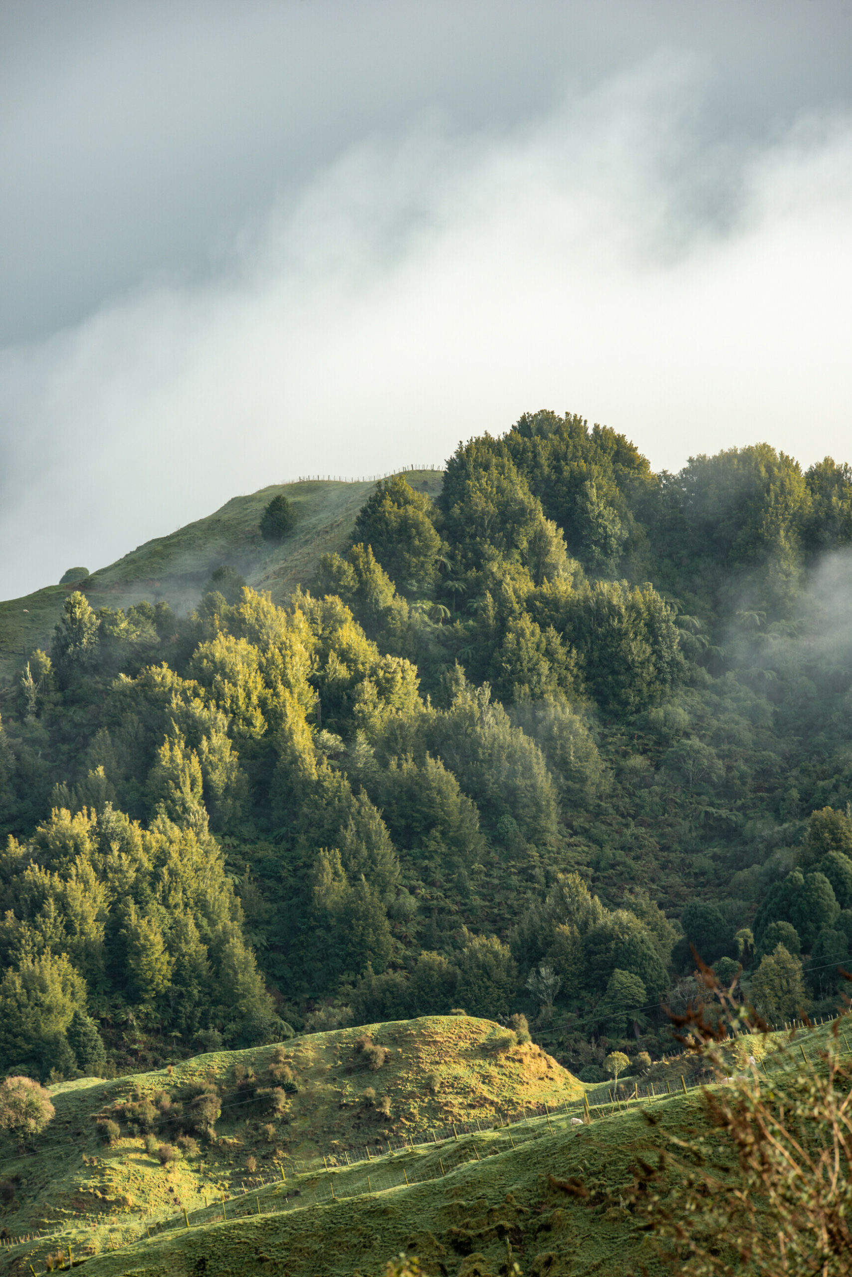 Mist on the craggy New Zealand hillside.